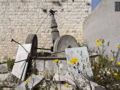�Ma qui si produceva anche l�olio � sottolinea Antonio mentre ci indica l�antica macina in pietra posizionata in un angolo dello spiazzo -. La masseria rappresentava infatti uno dei frantoi pi� grandi del territorio�